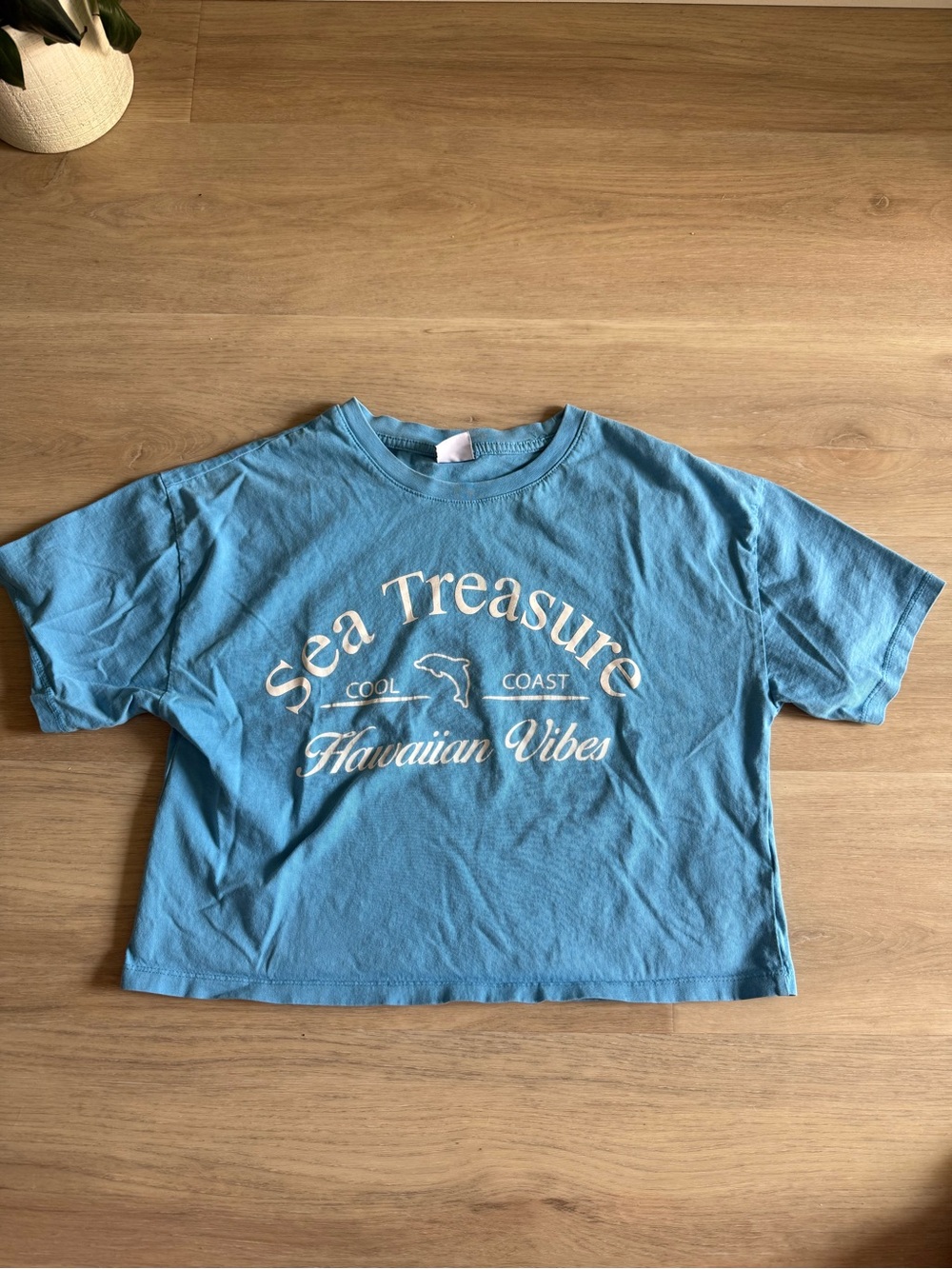 Zara Light Blue Crewneck Tee with Cream Logo